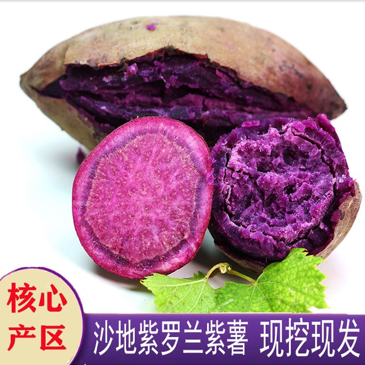 【亏本冲量包邮】紫罗兰紫薯新鲜紫薯番薯地瓜沙地紫红薯批发包邮
